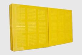 Polyurethane Dewatering Screen Panel